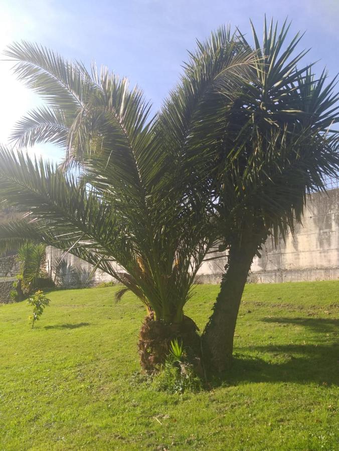 Apartamento Para Dos Personas En Guriezo Trebuesto Exteriér fotografie
